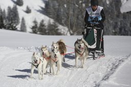 Kandersteg 2013